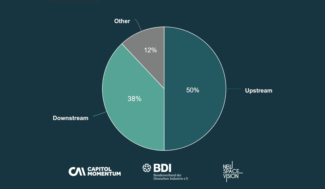 Non-Granular Value Chain Segmentation German NewSpace Industry 2020